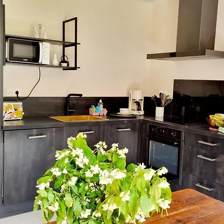 Tatil Evi Maison Independante En Lisiere De Bois Avec Cheminee, Velos Et Animaux Acceptes - Fr-1-532-20 *